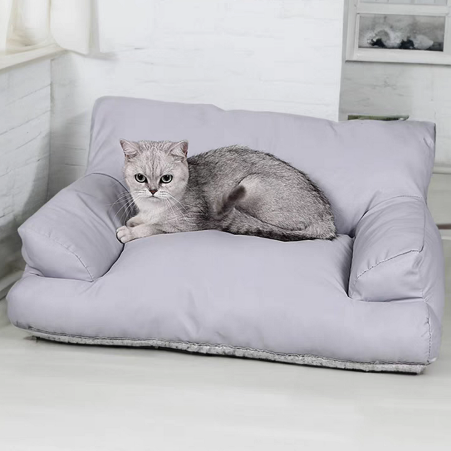Cat couch for all seasons - Cute Pet Story