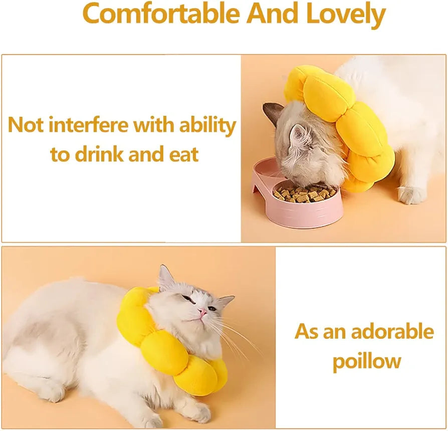 Sunflower Recovery Collar for cats and Dogs