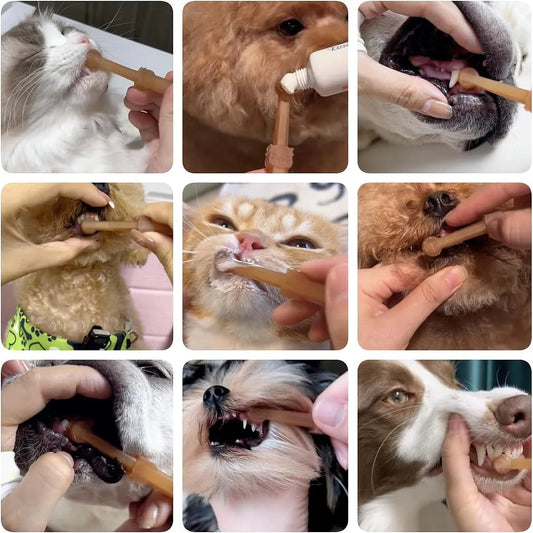 Pet Toothbrush Kit – Silicone Toothbrush for Cats & Dogs with Storage Cup