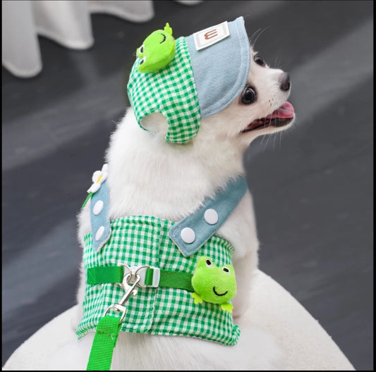 Pet outfit set for dogs, cats, and even ducks—includes hat, harness, and leash for outings