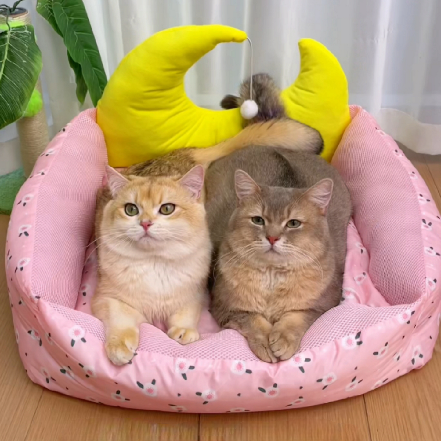 Cool & Waterproof Pet Sleeping Bed - Cute Pet Story