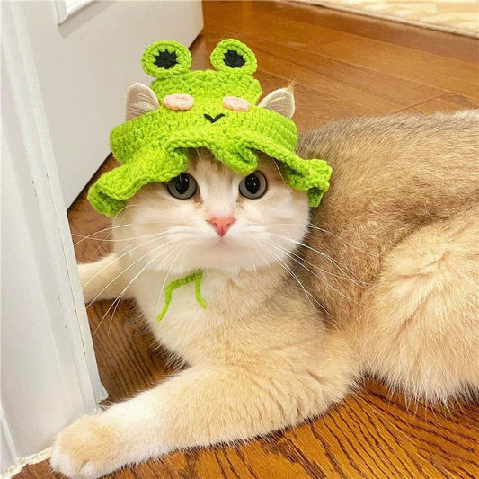 Frog Dog Hat 🐸