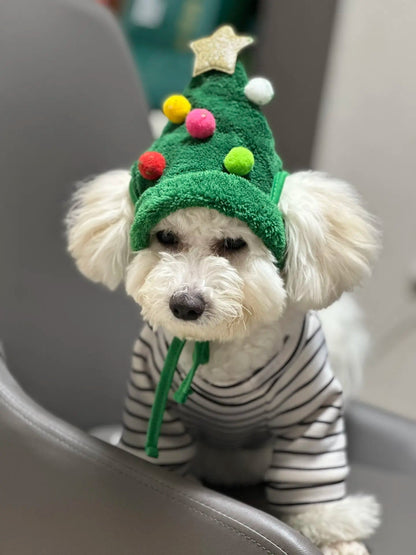 Pet Christmas Hat + Scarf