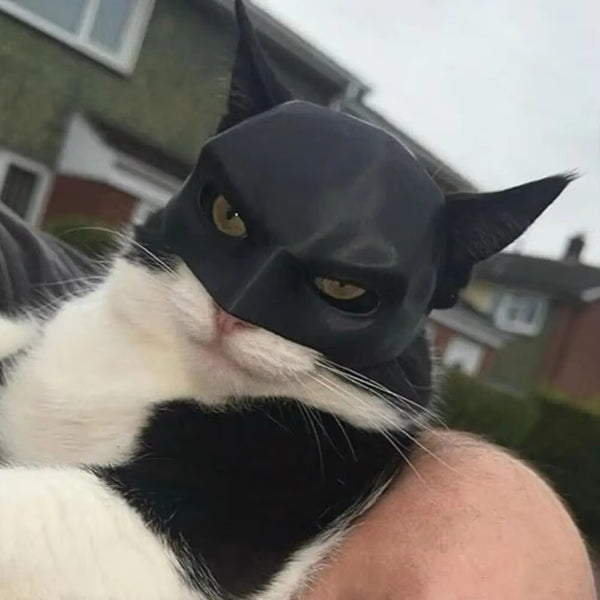 CatMan (Batman Mask For Cats)