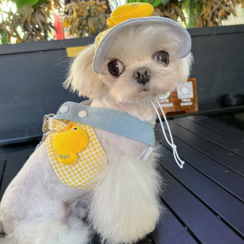 Cute duck Spring and summer pet chest harness