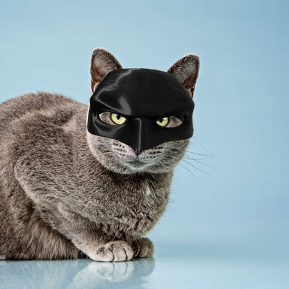 CatMan (Batman Mask For Cats)