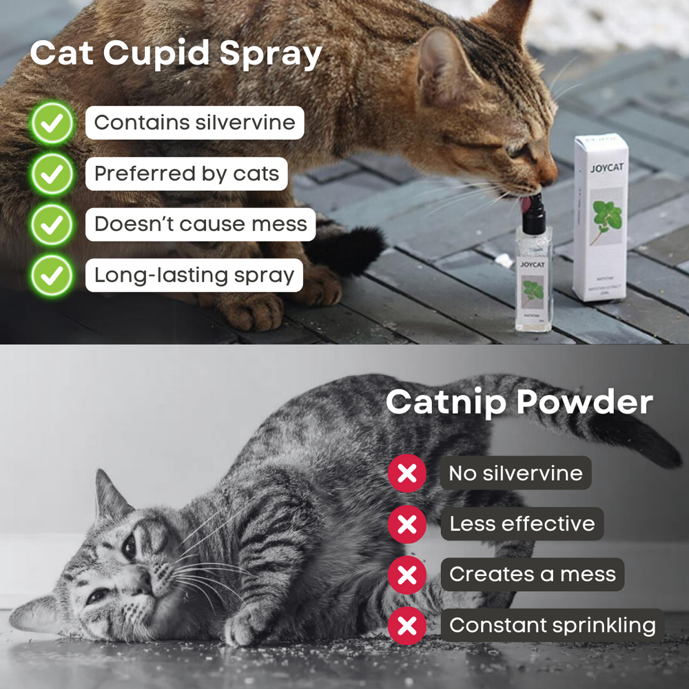 Catnip Cat Joy Spray