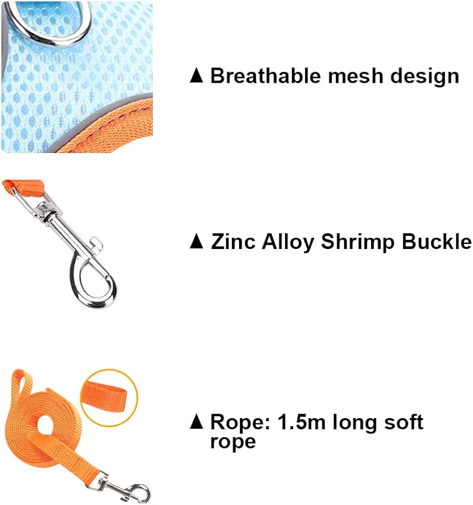 Cat Harness Traction Rope