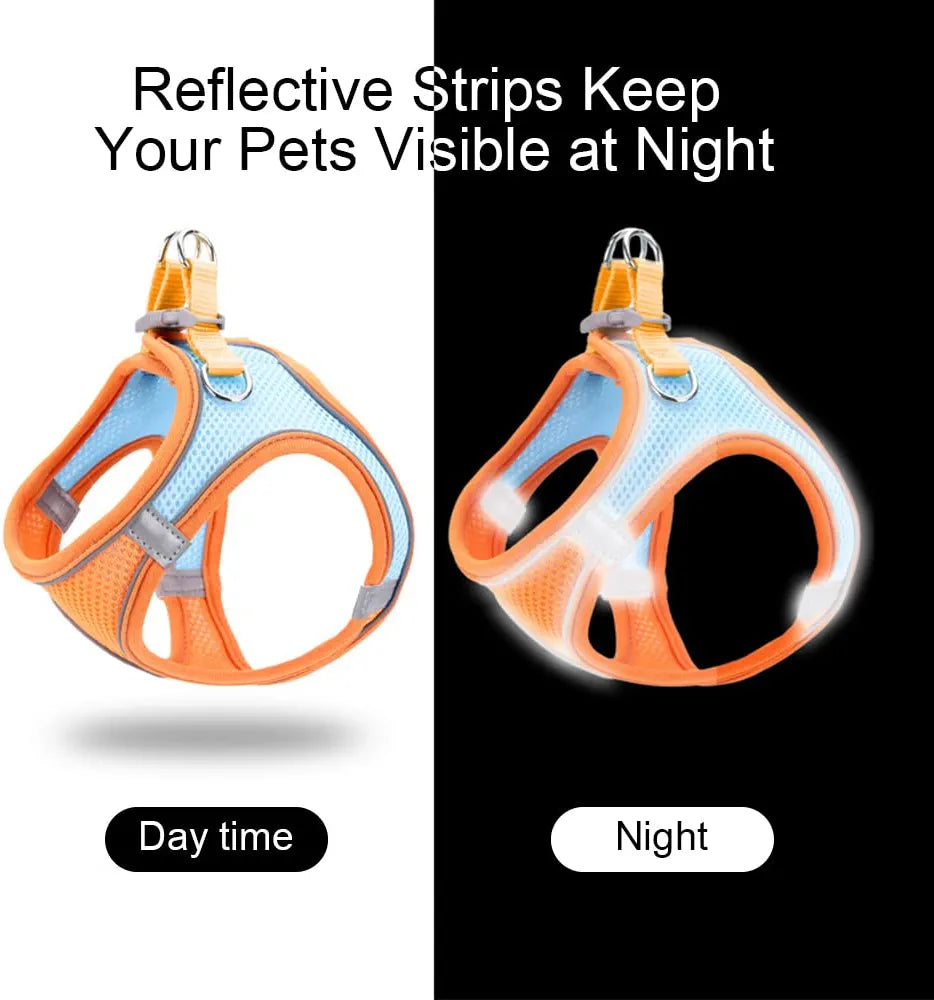 Cat Harnesses Rope Cat Harness Traction Rope – Cute Pet Story