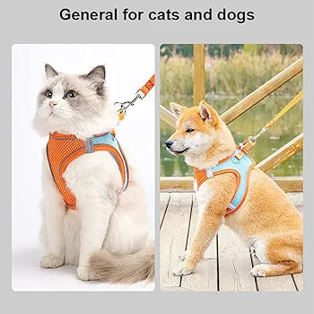 Cat Harness Traction Rope