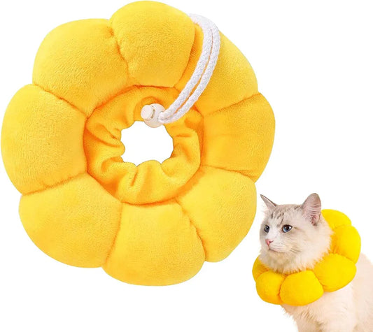 Sunflower Recovery Collar for cats and Dogs