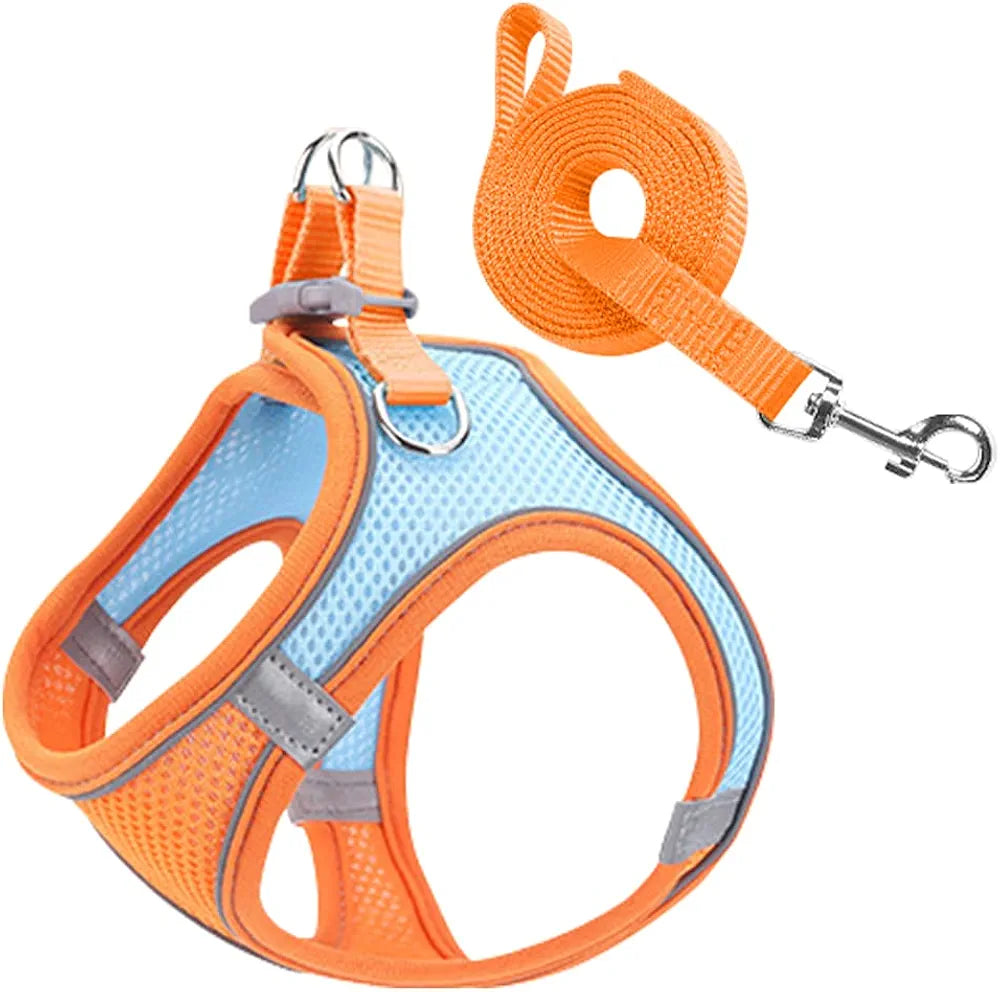 Cat Harness Traction Rope