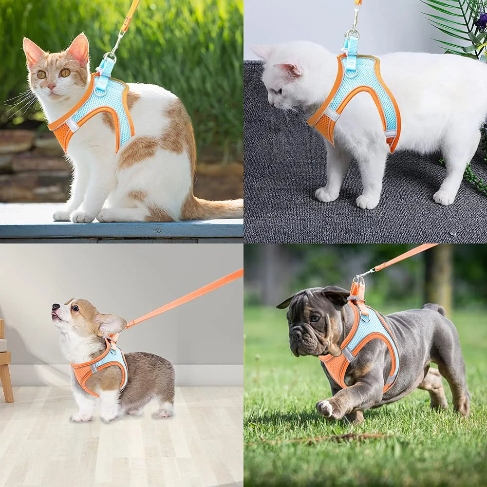 Cat Harness Traction Rope