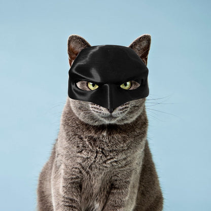 CatMan (Batman Mask For Cats)