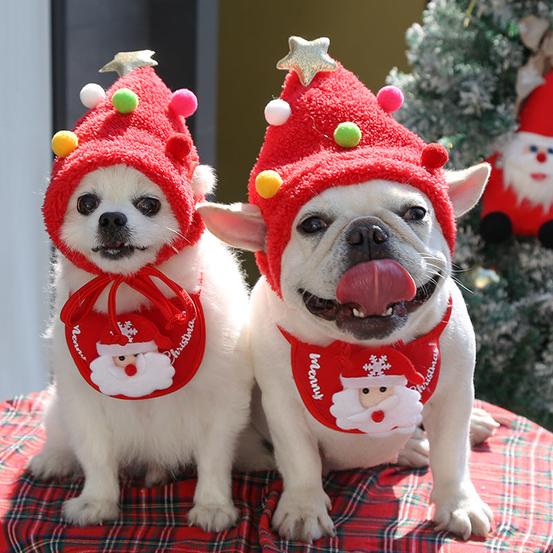 Pet Christmas Hat + Scarf