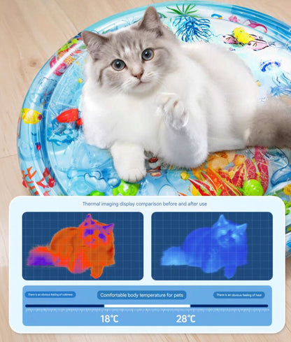 Pet Inflatable Water Play Mat