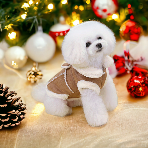 CutePetStory® Cute Stylish Dog Coat