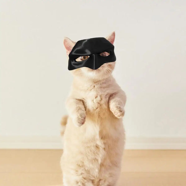 CatMan (Batman Mask For Cats)