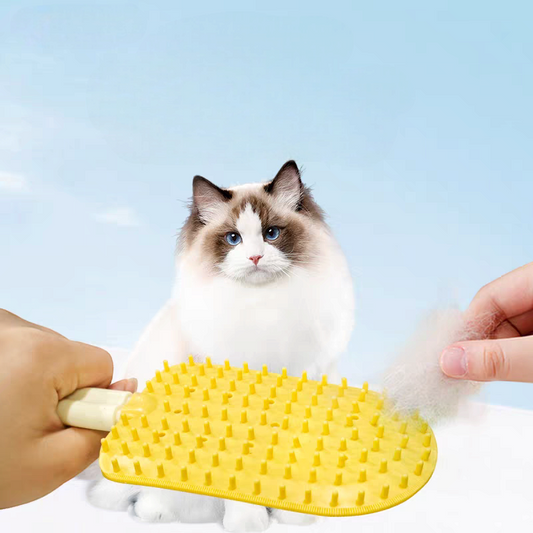 Multifunctional Cat ice cream massage comb