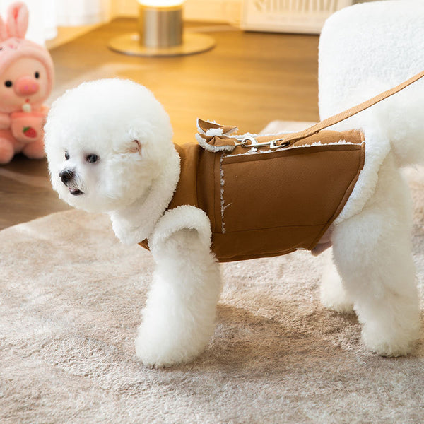 CutePetStory® Cute Stylish Dog Coat