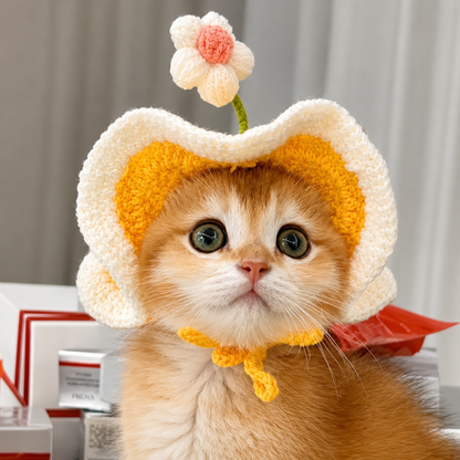 Cute Cat & Dog Costume Hat