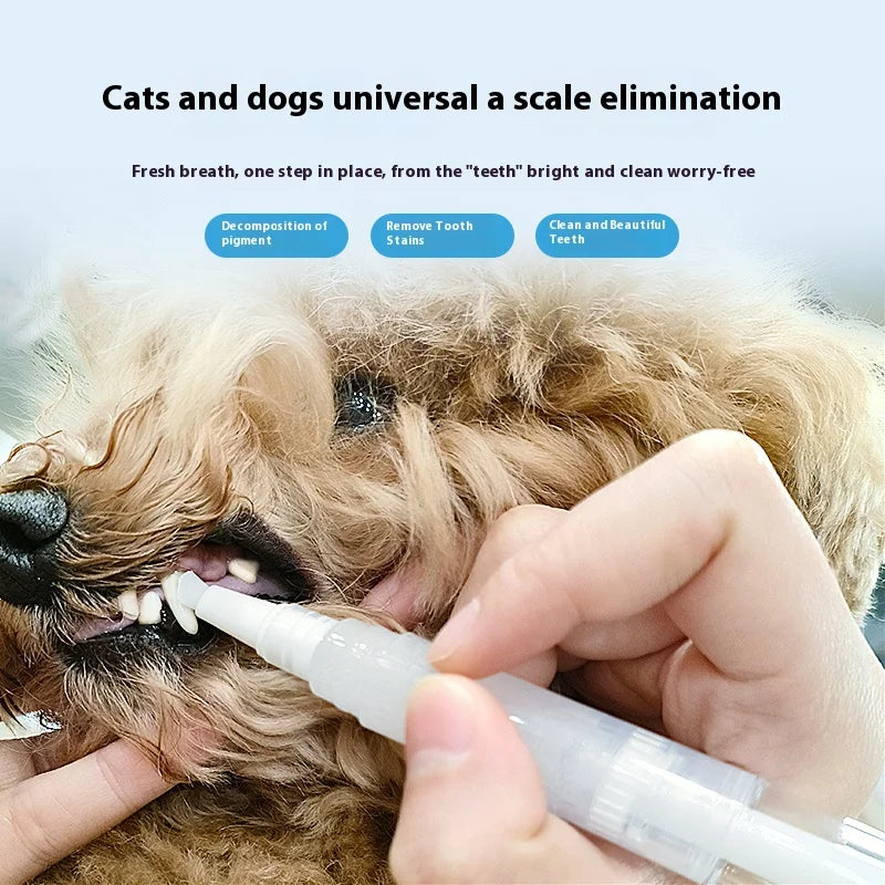 Pet teeth cleaning pen