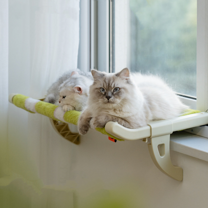 Cat Window & Side Bed Perch