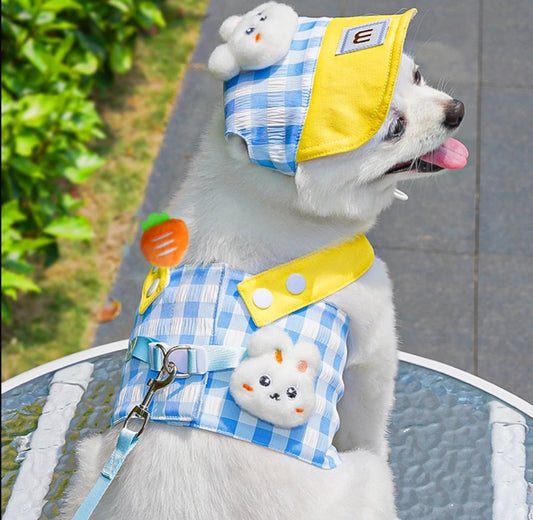 Pet outfit set for dogs, cats, and even ducks—includes hat, harness, and leash for outings
