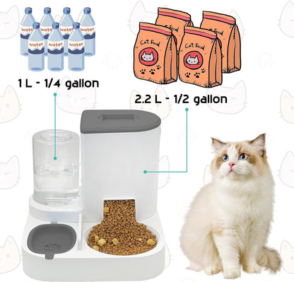 Cat Feeder and Water Dispenser