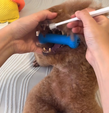 Pet Dental Chew Toothbrush – Easy Teeth Cleaning