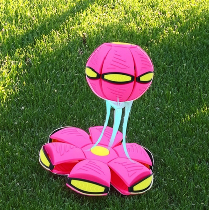 CutePetStory® BouncePop Ball