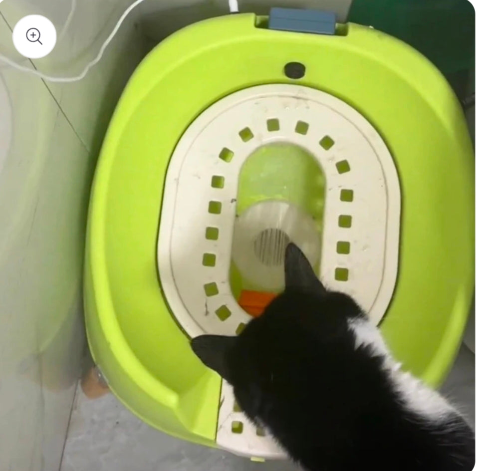 Luxury Automatic Flushing Cat Toilet