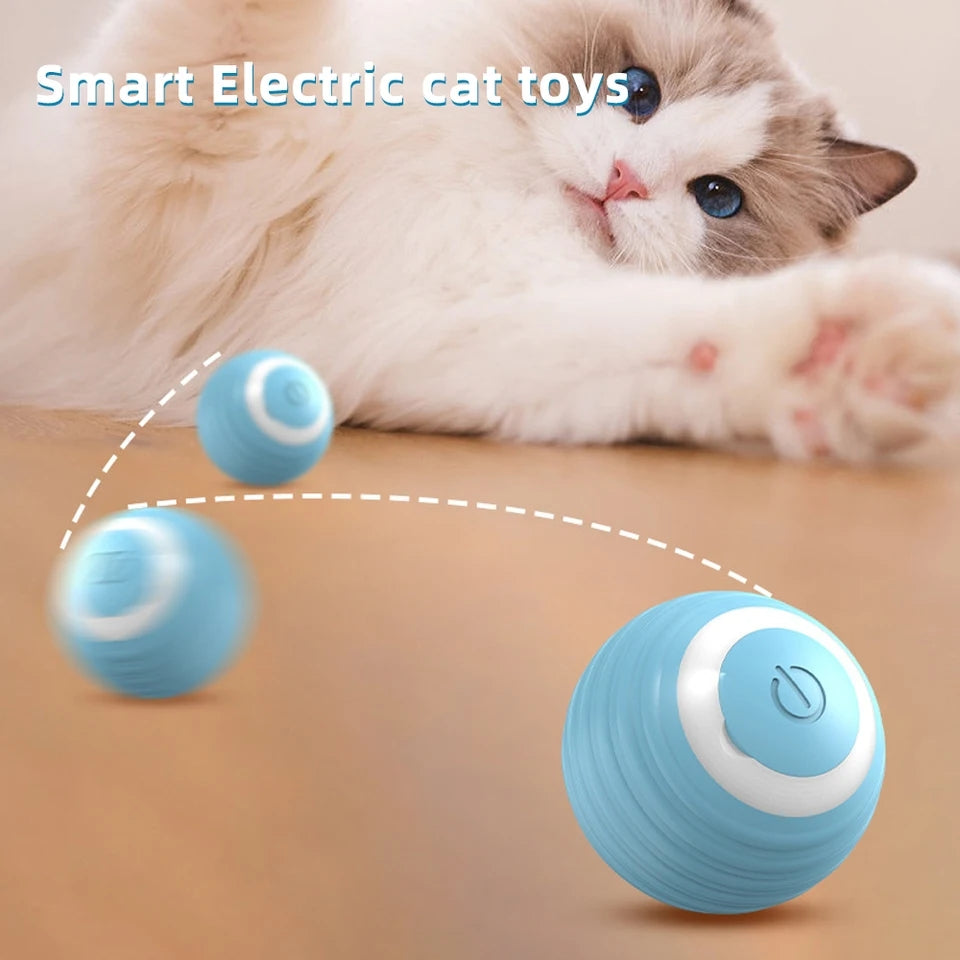 Cat Interactive Ball - PP38