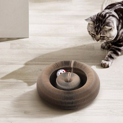 Cat Ball Toy