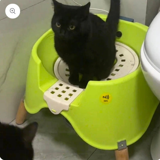 Luxury Automatic Flushing Cat Toilet