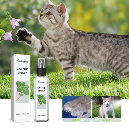 Catnip happy joycat Spray for pet bedd scratching etc