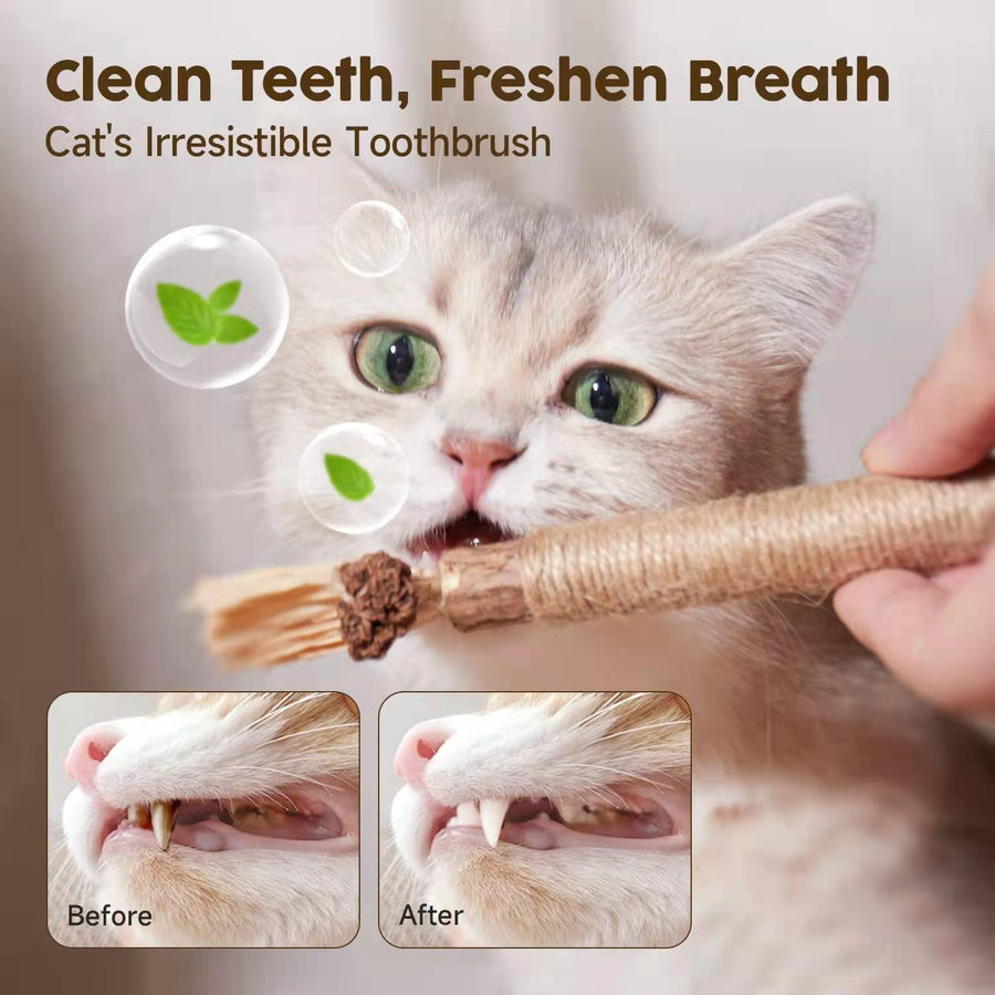 Cat Toys Silvervine Chew Stick - PP18