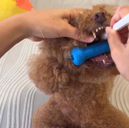 Pet Dental Chew Toothbrush – Easy Teeth Cleaning