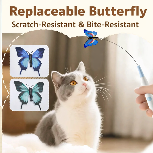 Auto-rotating butterfly lazy cat teaser, electric cat toy