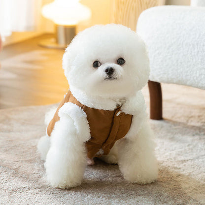 CutePetStory® Cute Stylish Dog Coat