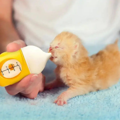 Anti Choking Cat Feeding Bottle