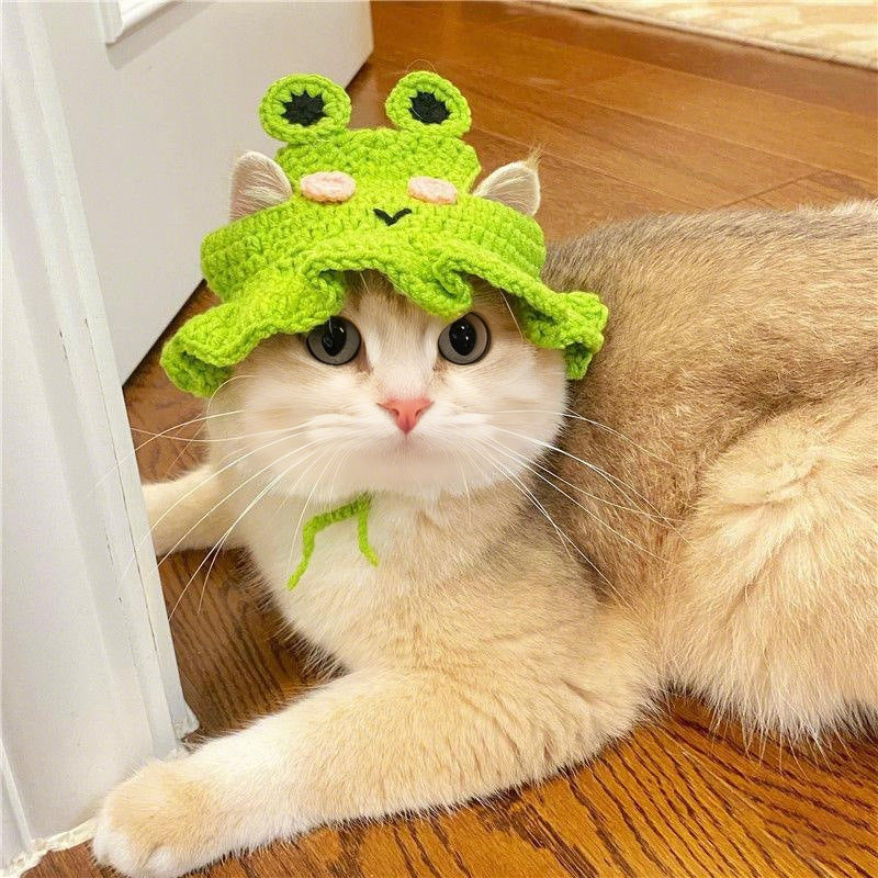 Frog Dog Hat 🐸