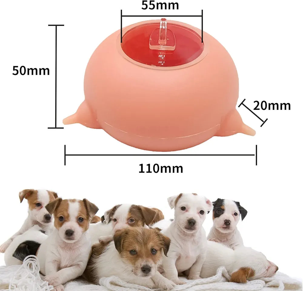 3 Pacifiers Puppy Kitten Silicone Feeder