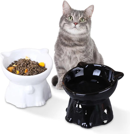 2pcs Ceramic Elevated Cat Bowls for Indoor Cats