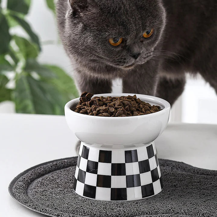 Ceramic Bowl for cat